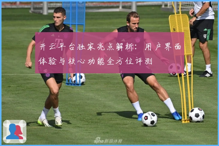 开云平台独家亮点解析：用户界面体验与核心功能全方位评测