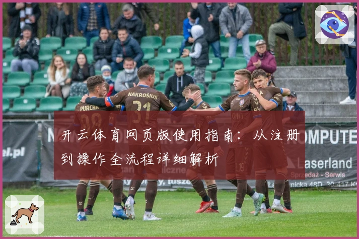 开云体育网页版使用指南：从注册到操作全流程详细解析