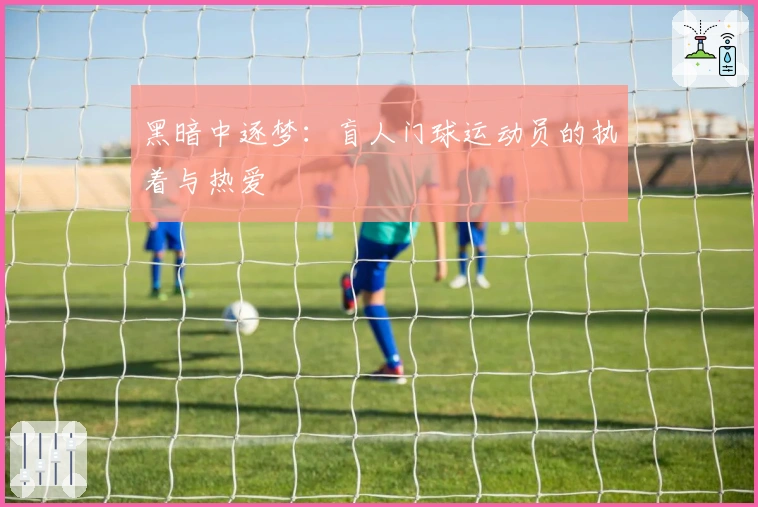 黑暗中逐梦：盲人门球运动员的执着与热爱